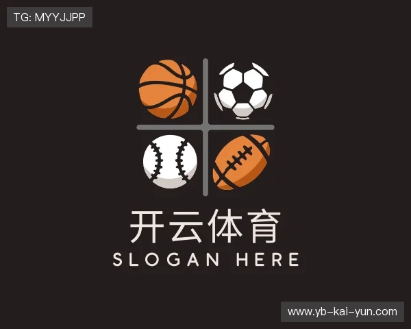 介绍开云体育在线app